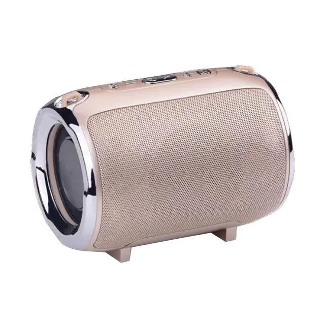 Portable Bluetooth Speaker